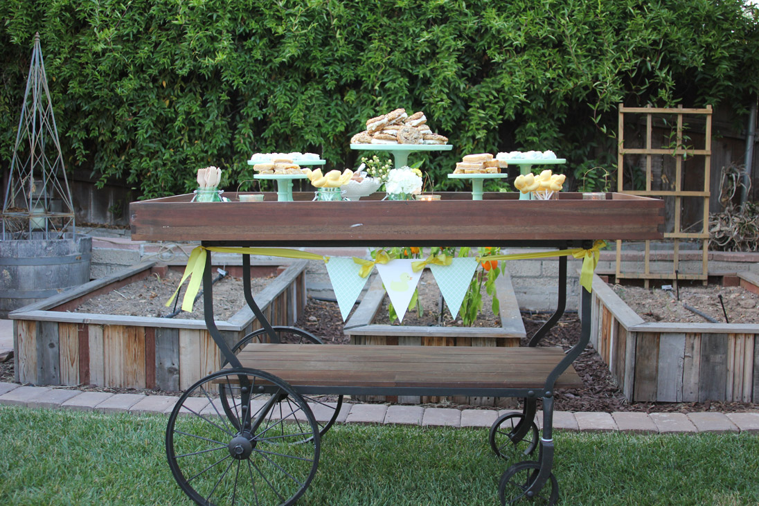 Darling "Rub a Dub Dub" Themed Baby Shower