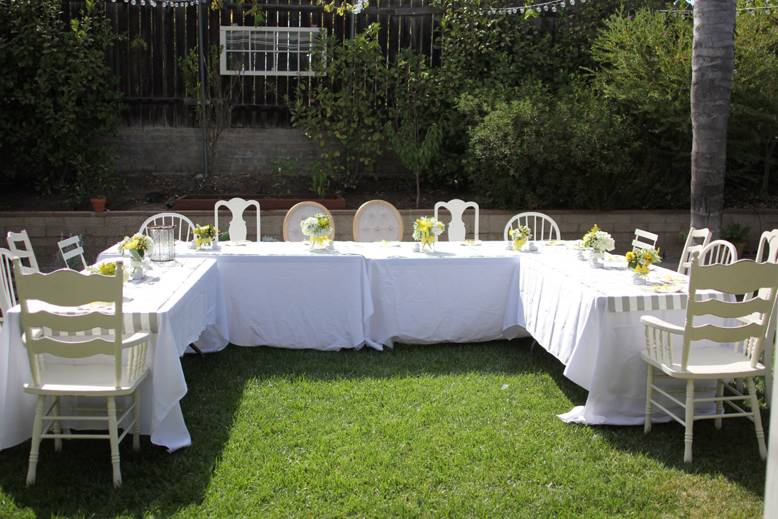 Darling "Rub a Dub Dub" Themed Baby Shower