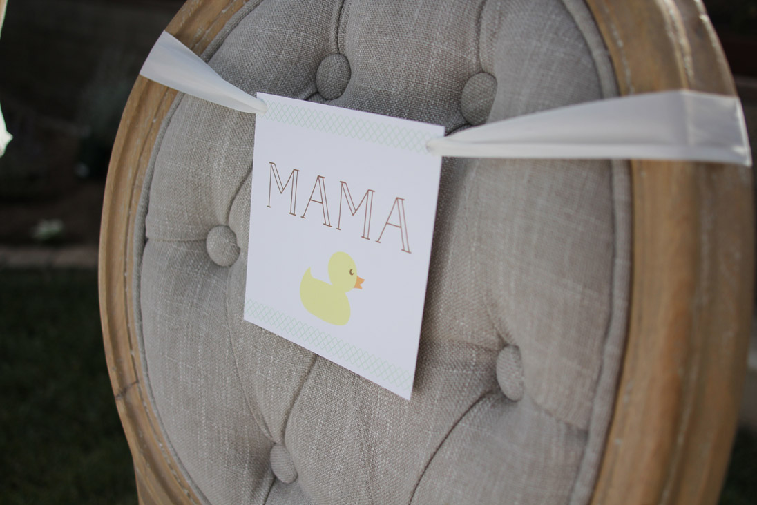 Darling "Rub a Dub Dub" Themed Baby Shower