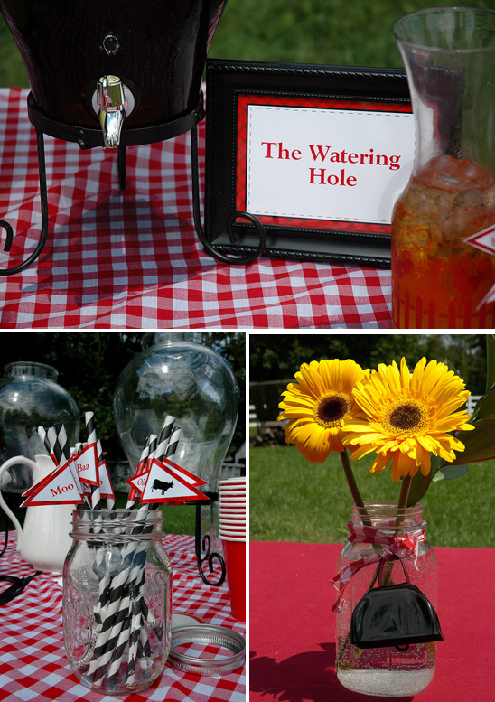Farm Themed Birthday Party