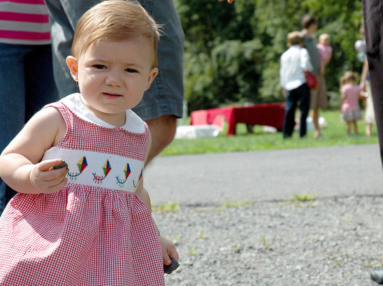 Farm Themed Birthday Party