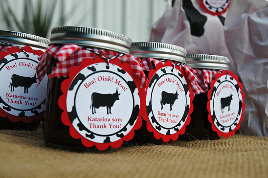 Farm Themed Birthday Party