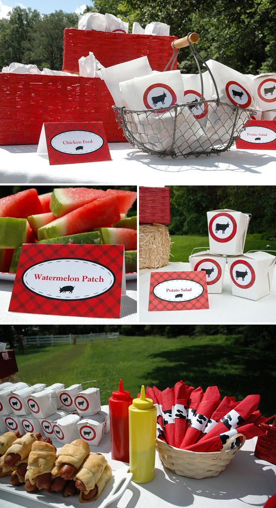 Farm Themed Birthday Party