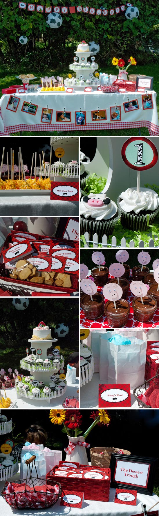Farm Themed Birthday Party