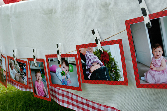 Farm Themed Birthday Party