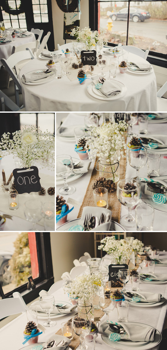 Owl Themed Baby Shower