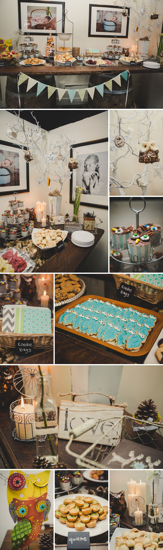 Owl Themed Baby Shower