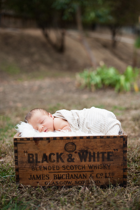 Relaxed Family Session