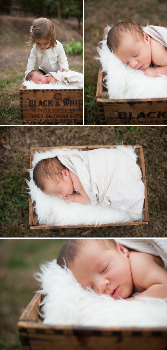 Relaxed Family Session