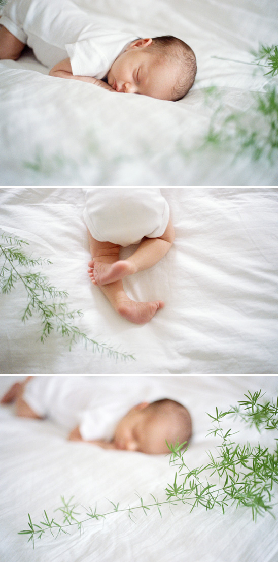 Aleah's Newborn Portraits