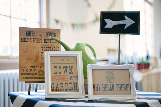 Vegetable Patch First Birthday Party