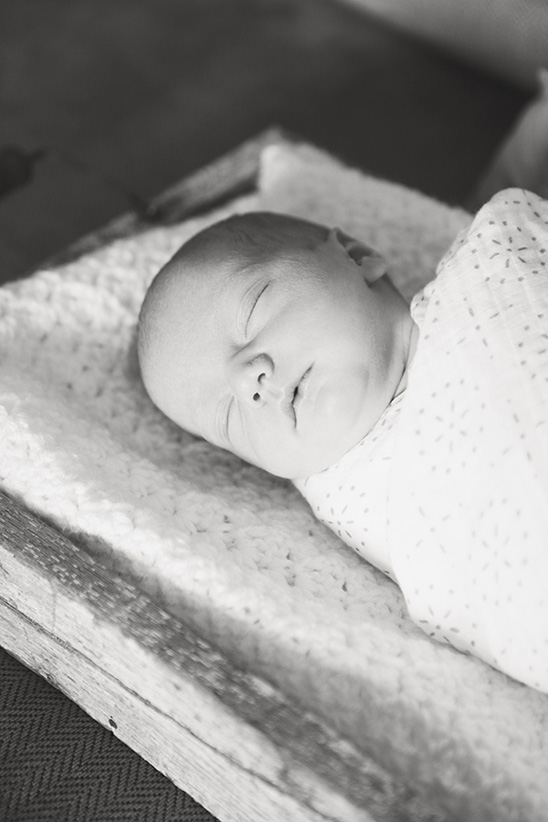 Newborn Camille and Her Sweet Nursery