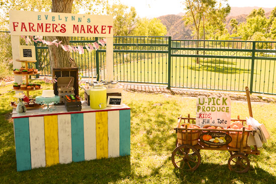 Farmer's Market Themed Birthday Party