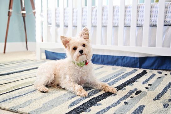 Baby Caleb and His Peter Pan Inspired Nursery