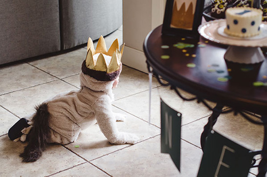 Where the Wild Things Are Themed 1st Birthday Party