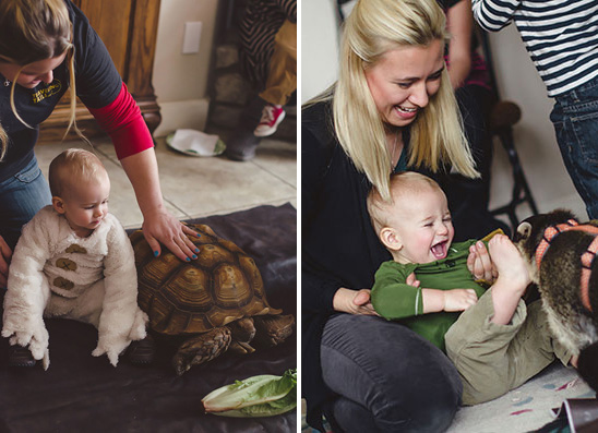 Where the Wild Things Are Themed 1st Birthday Party
