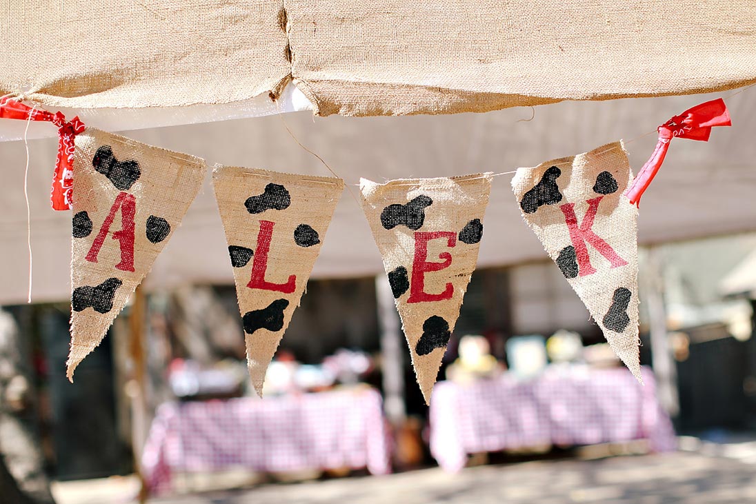 A Fun, Farm Themed 3rd Birthday Party for Alek