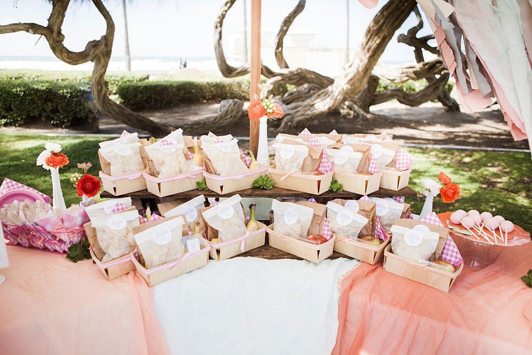 A Charming Beachside Picnic Baby Shower