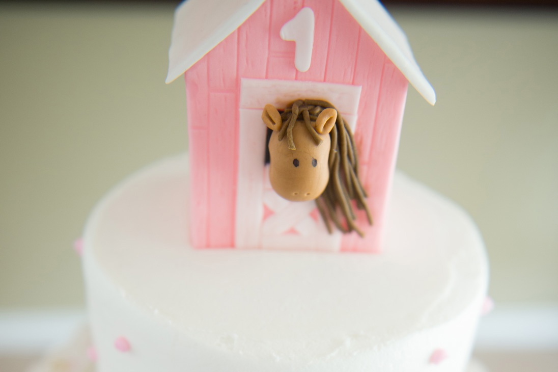 Avery's Farm Animal Themed Birthday Party