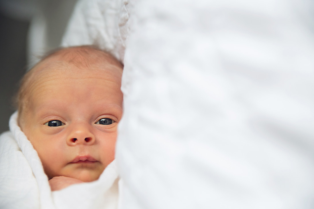 Home Newborn Portraits in Raleigh, N.C.