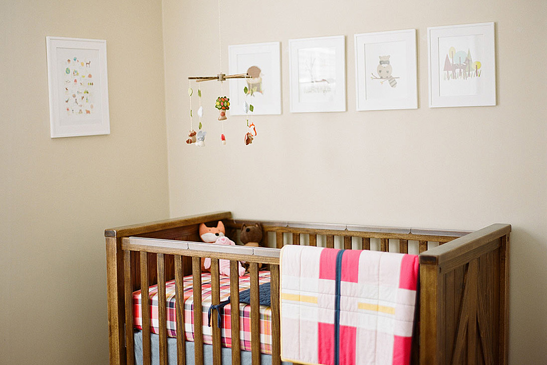 Minnesota Inspired Nursery