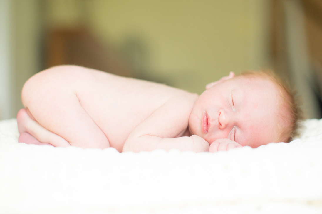 Lifestyle Newborn Portraits