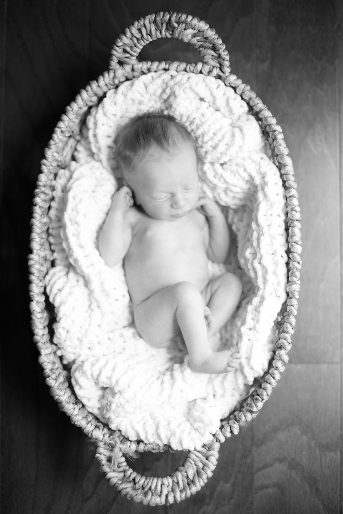 Lifestyle Newborn Portraits