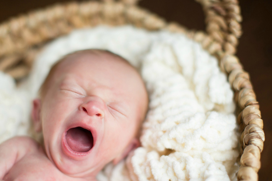 Lifestyle Newborn Portraits